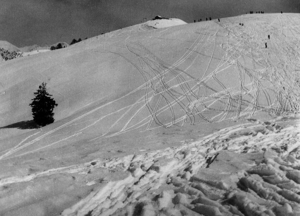 Piste Da Sci · Historify