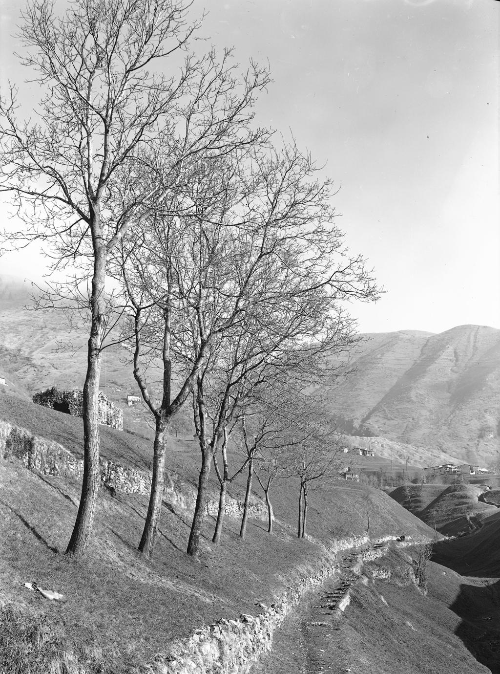 Paesaggio · Historify