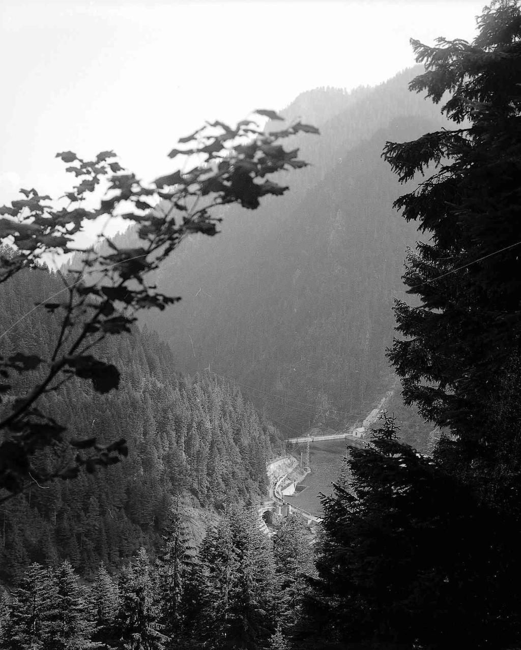 Montagna · Historify