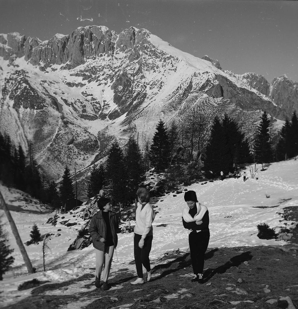 Passeggiata in montagna · Historify