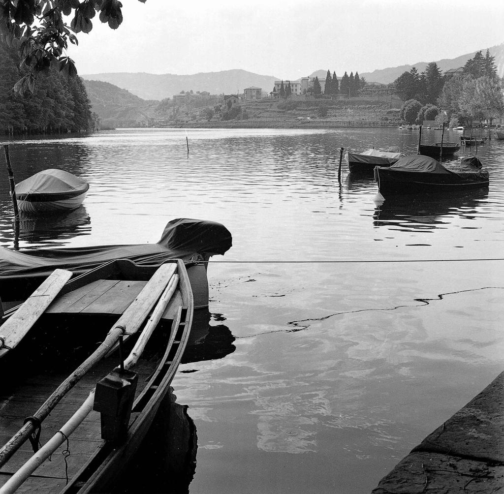 Barche Su Lago · Historify