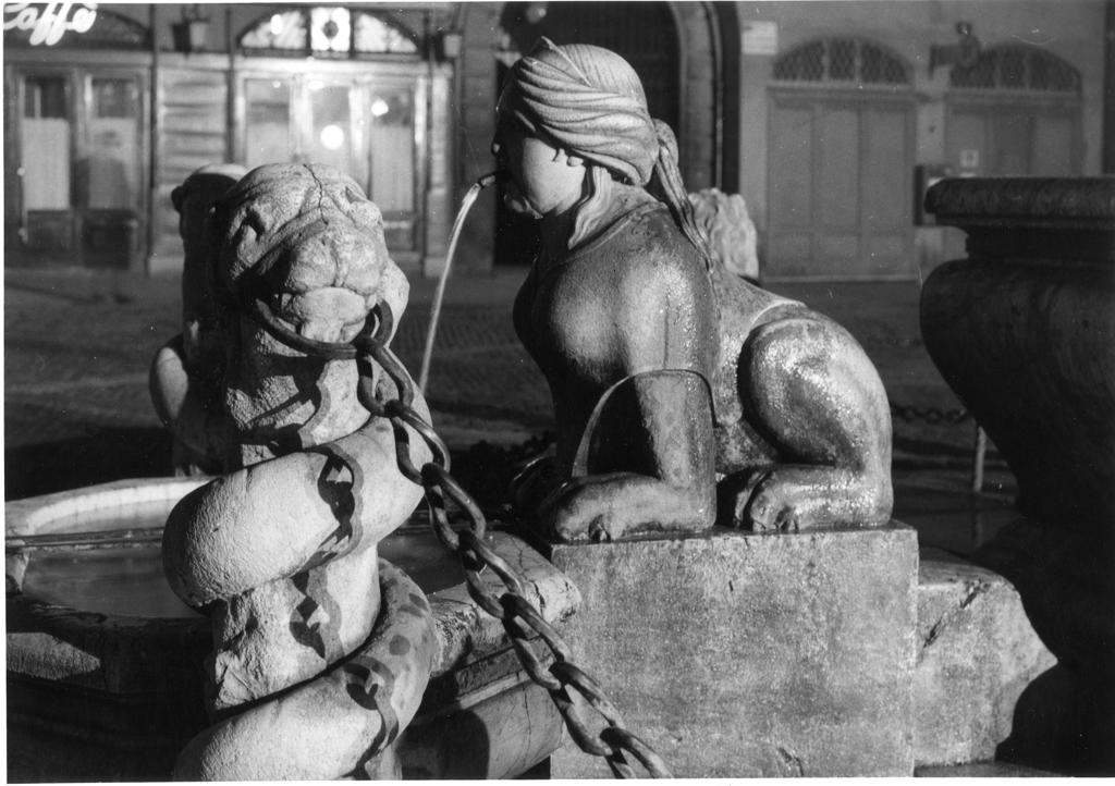 Dettaglio della fontana Contarini · Historify
