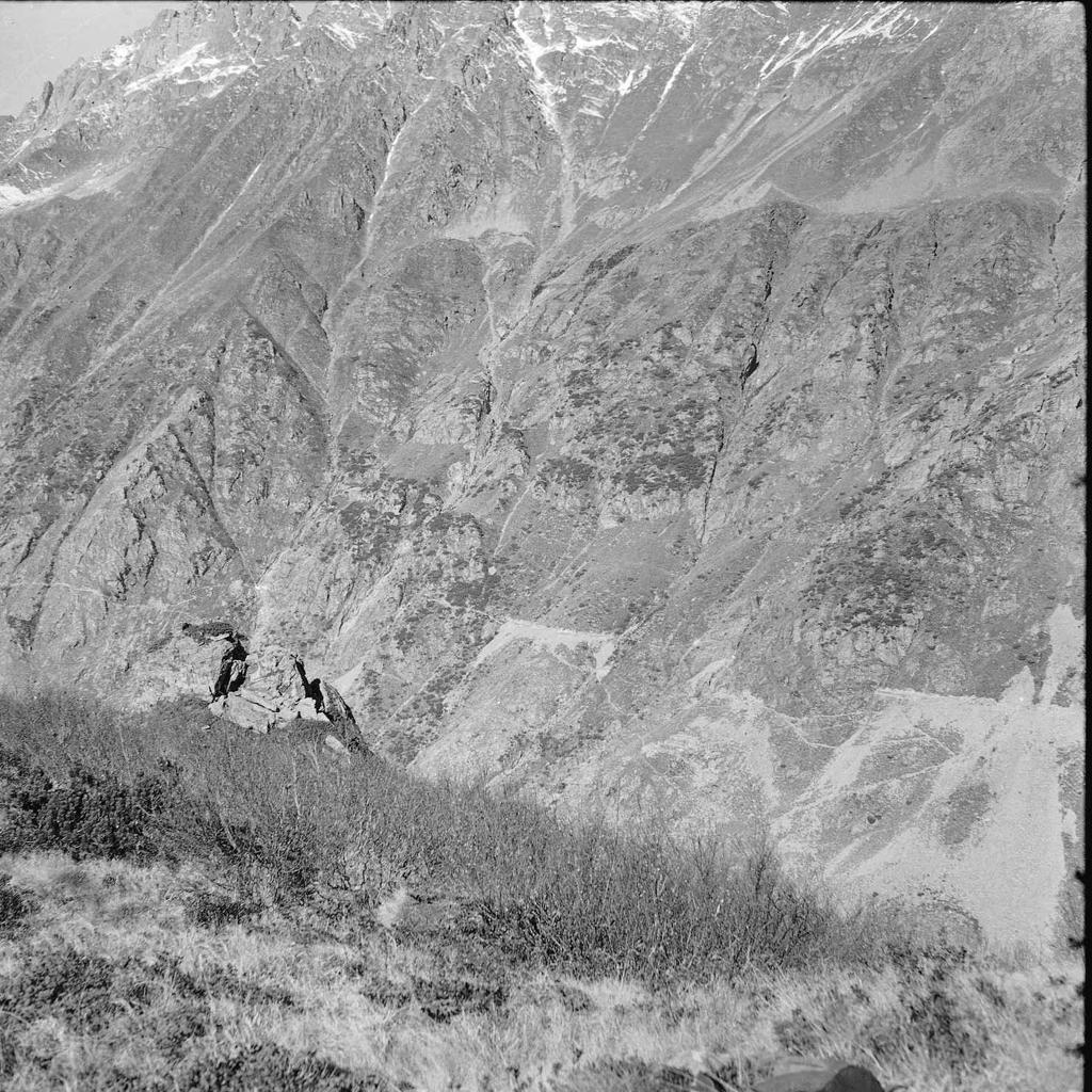 Montagna · Historify