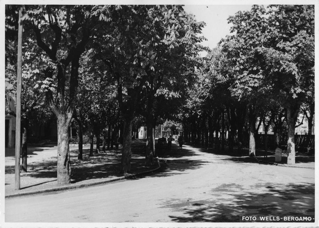 Viale Alberato a Trescore · Historify