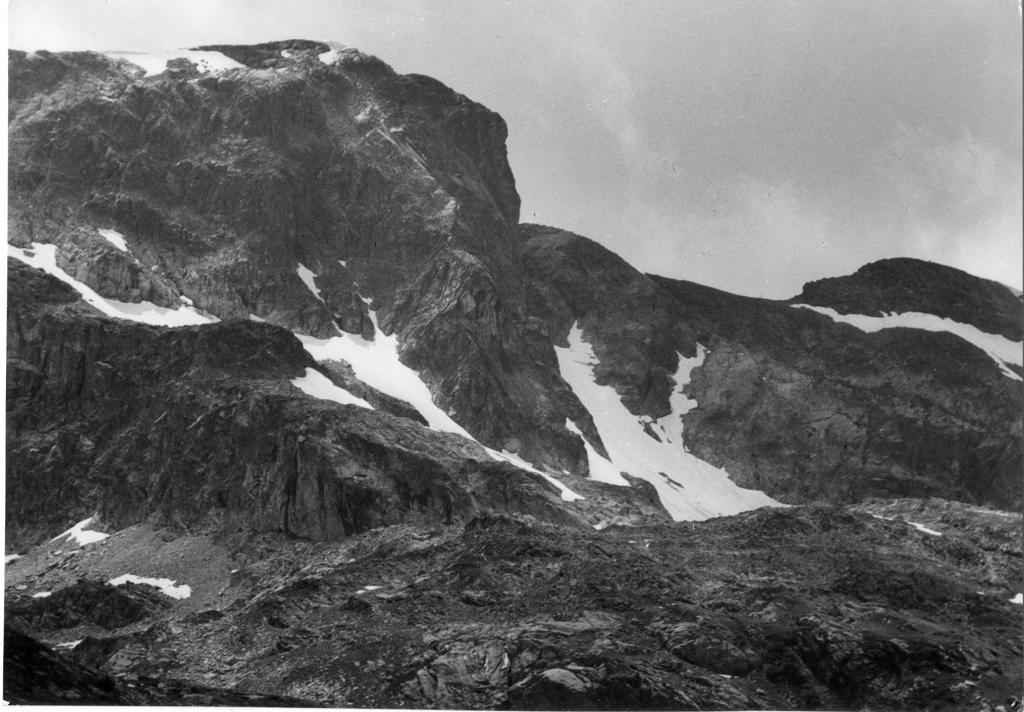 Montagne innevate · Historify