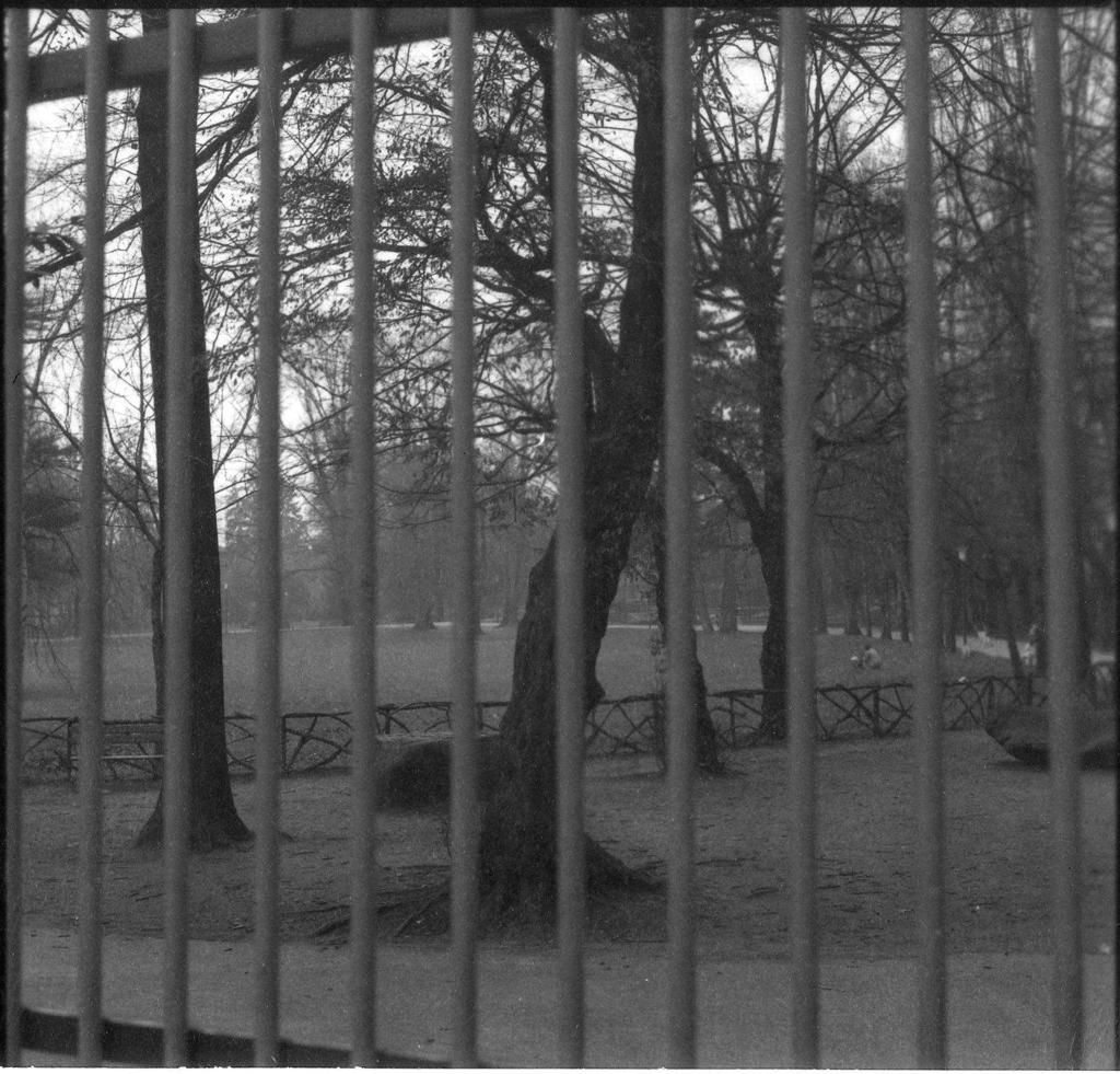 Guardando il parco Suardi · Historify