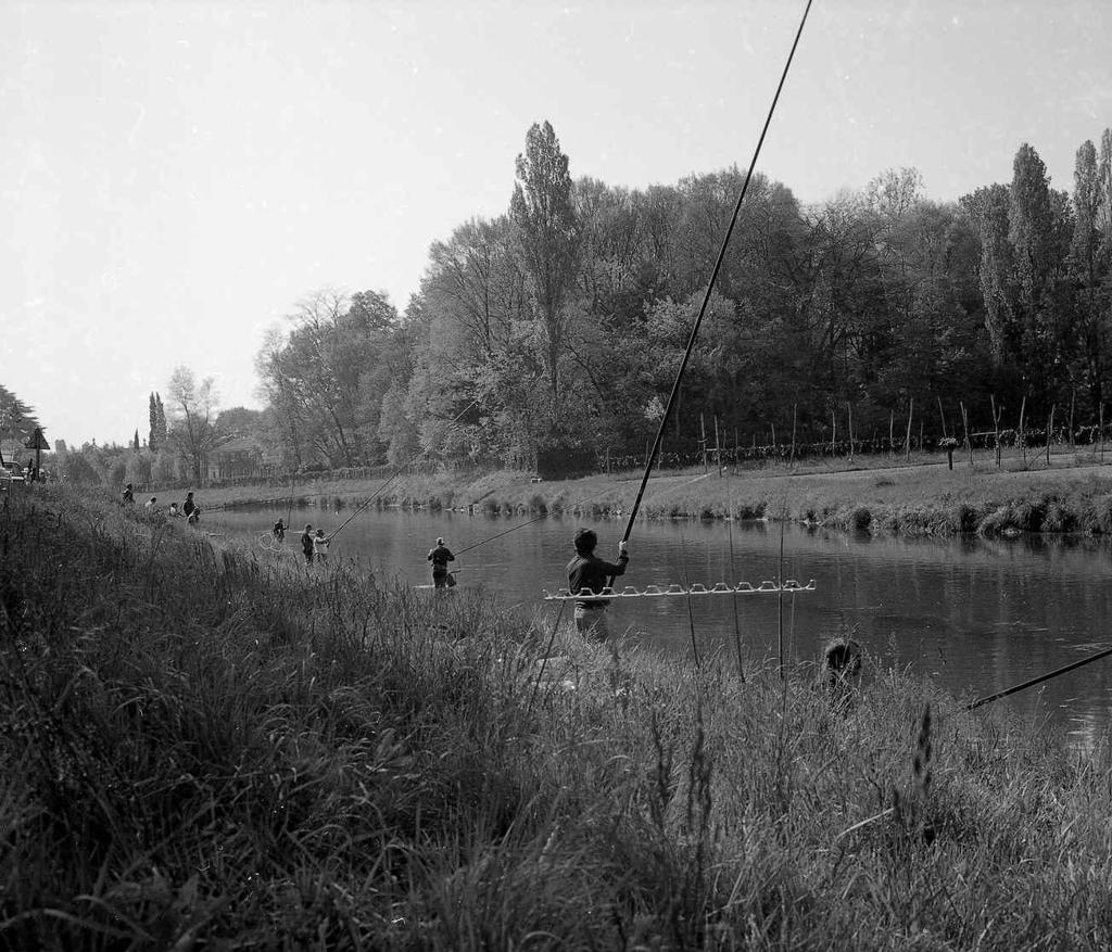 Pescatori In Azione · Historify