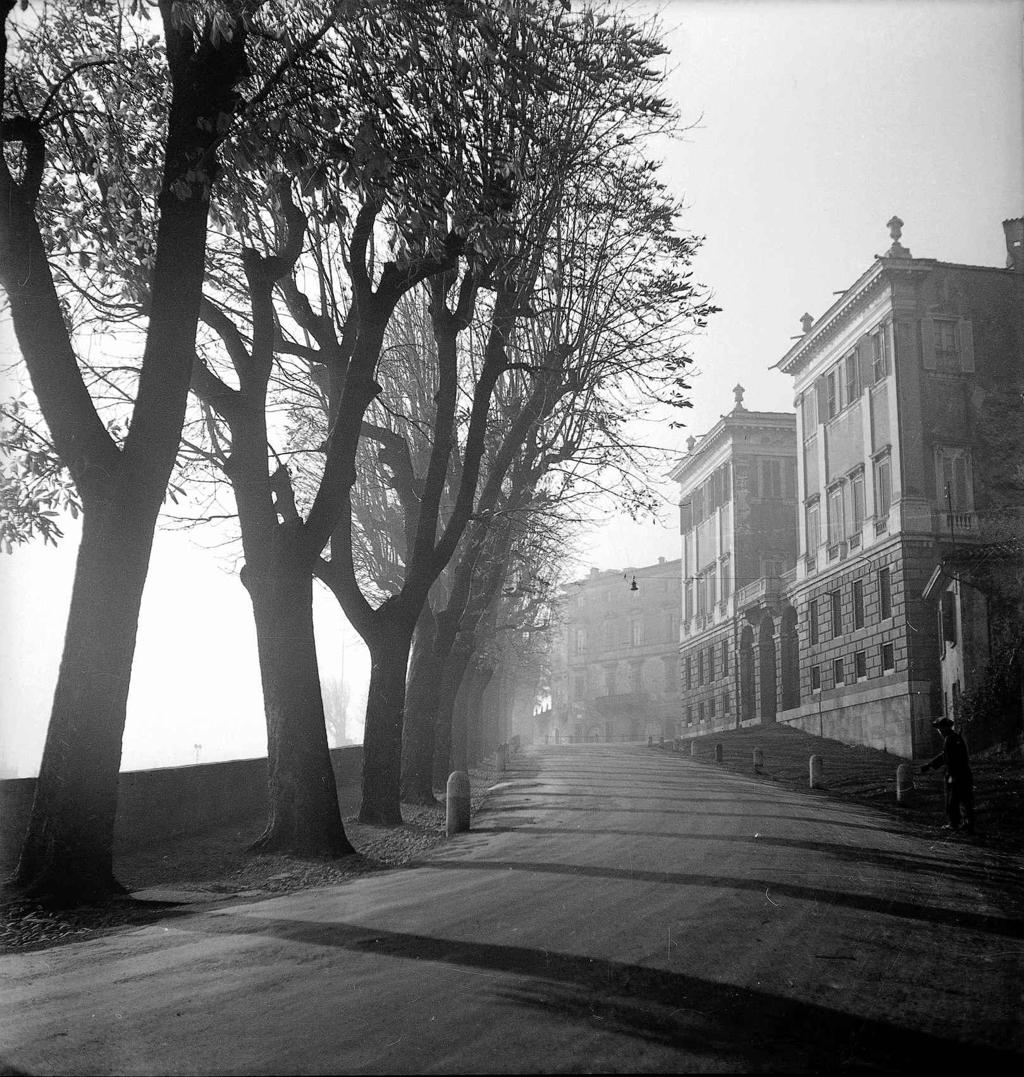 Viale Delle Mura · Historify