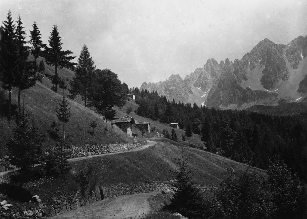 Paesaggio Di Montagna · Historify