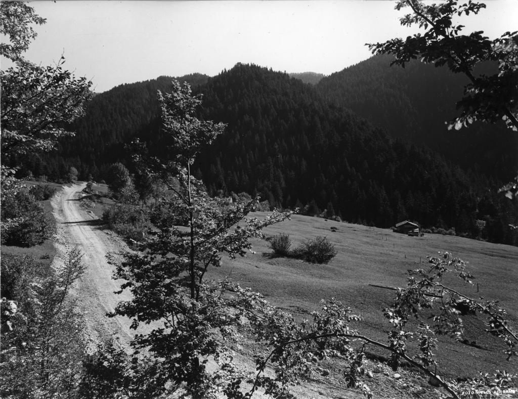 Paesaggio Montano · Historify