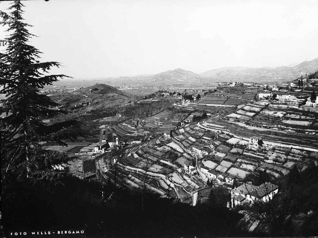 Colli · Historify