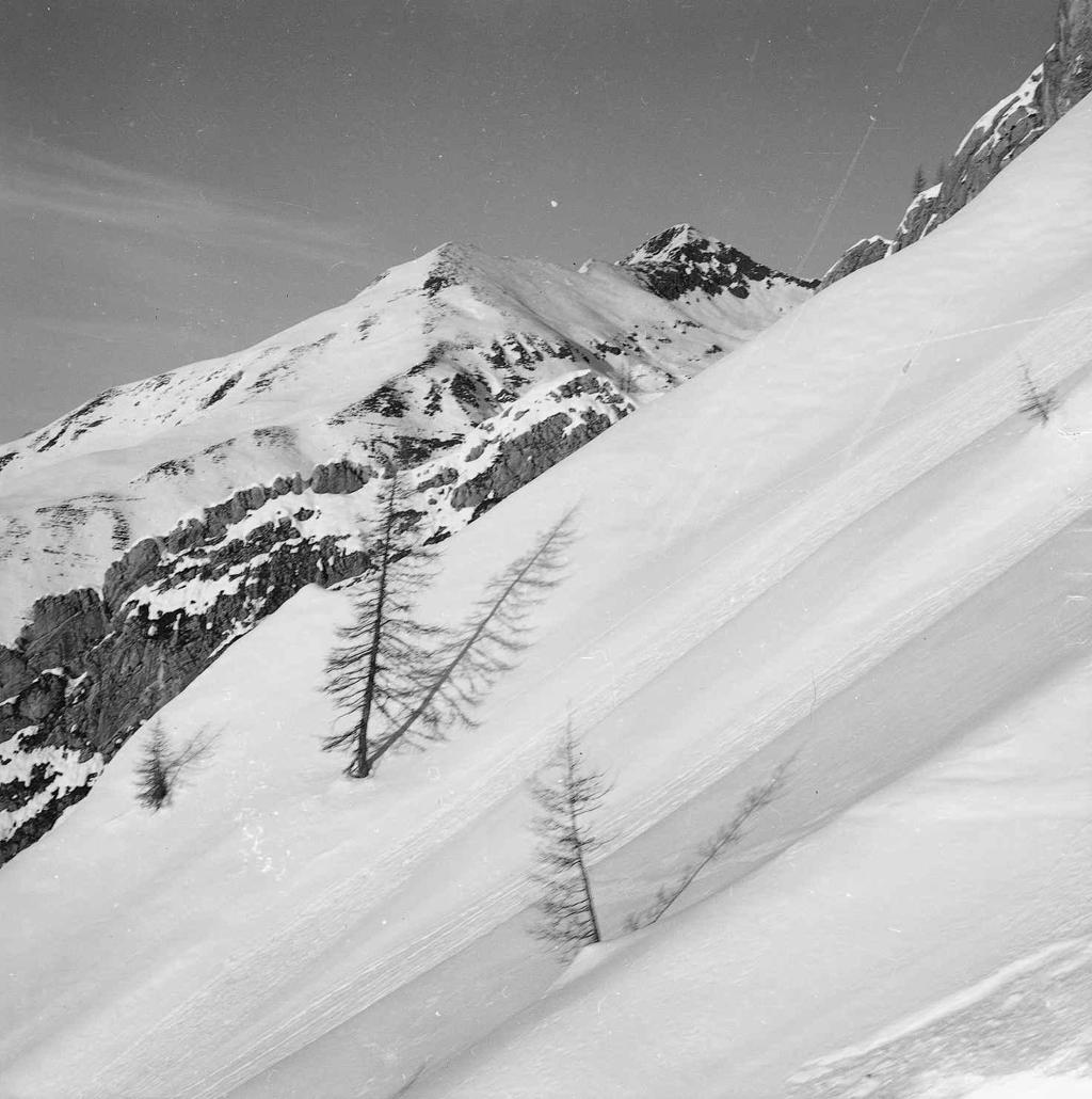 Paesaggio  Innevato · Historify