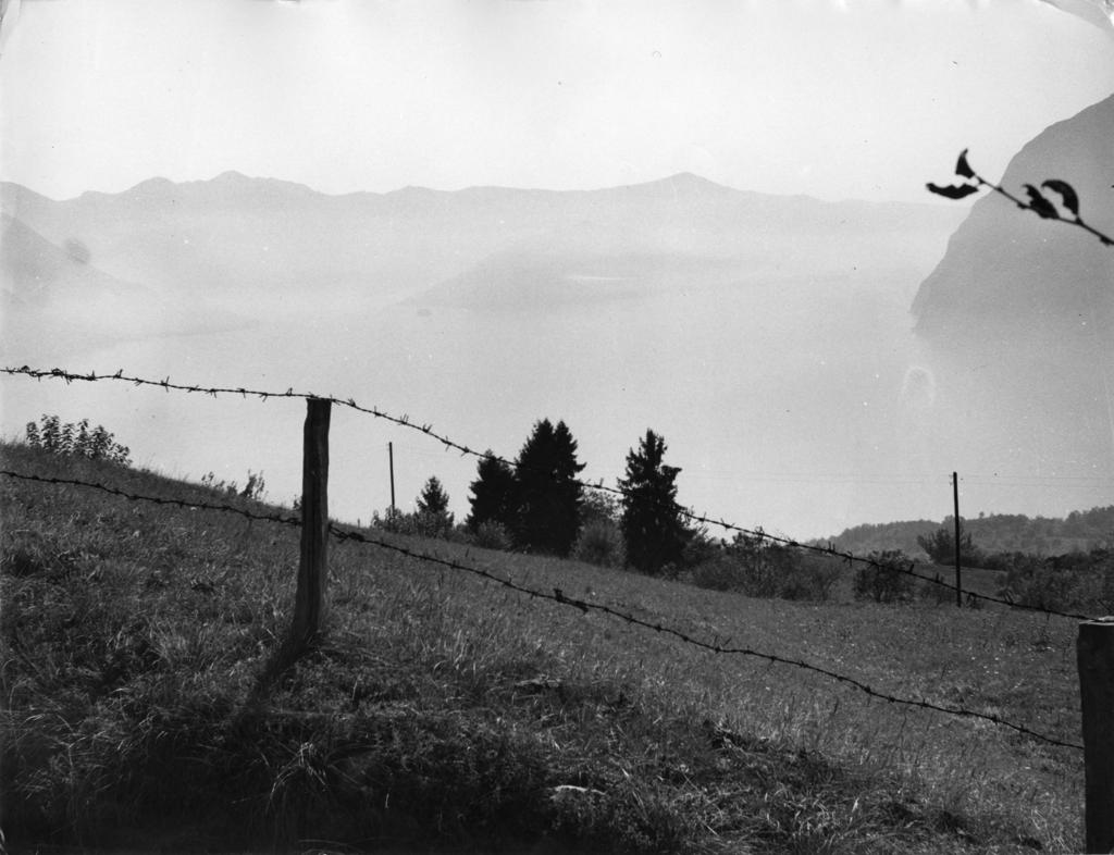 Solto Collina · Historify