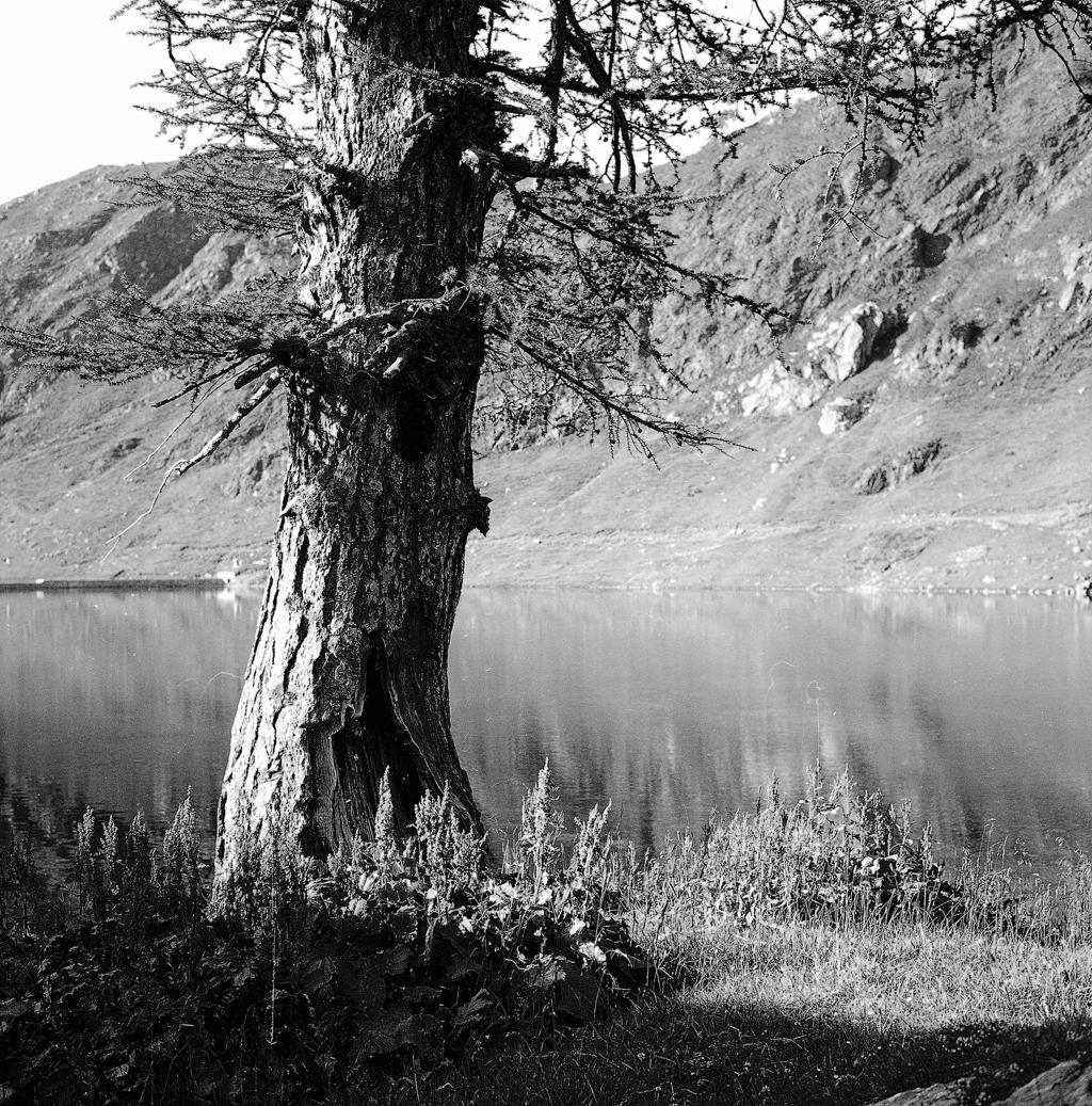 Lago alpino · Historify