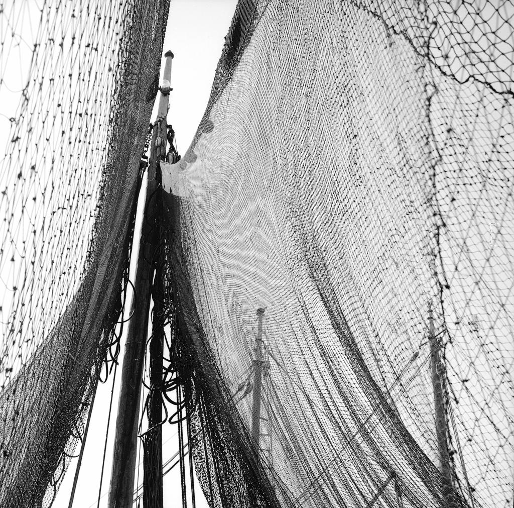 Reti Da Pesca · Historify