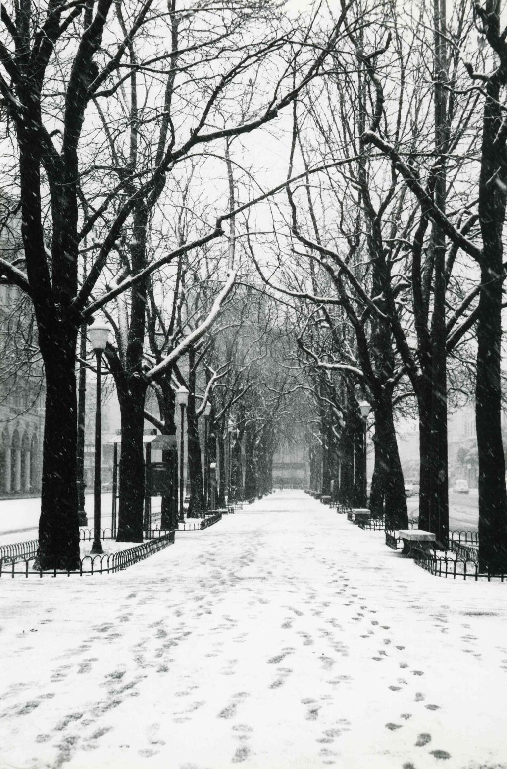 Sentierone Innevato · Historify