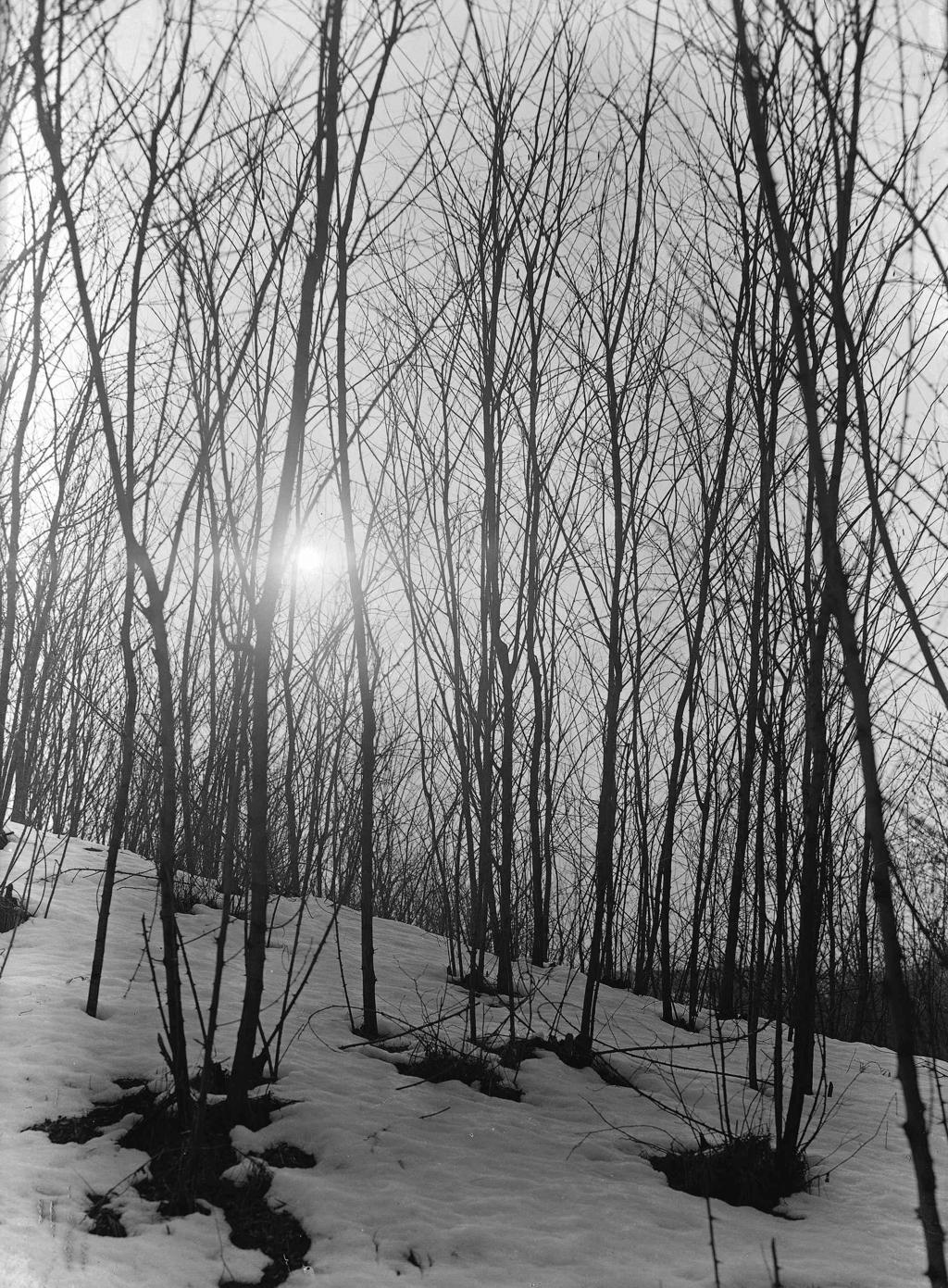 Paesaggio invernale · Historify