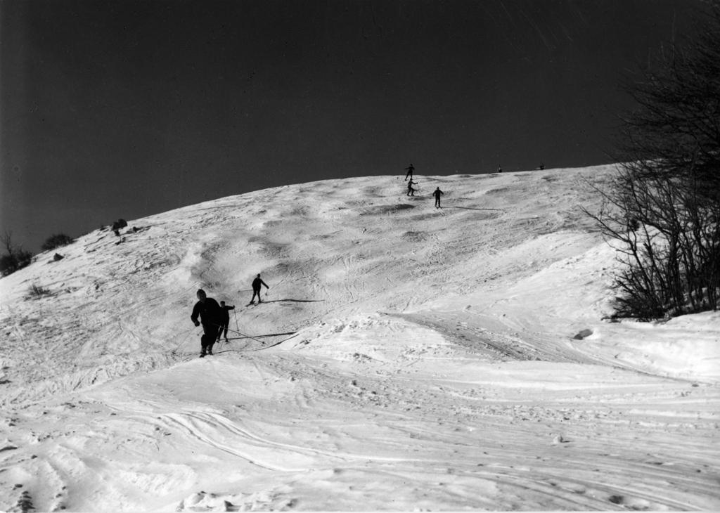 Piste da sci · Historify