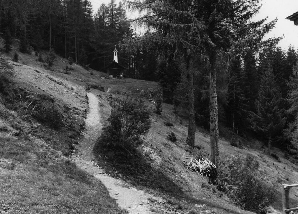 Sentieri Di Montagna · Historify