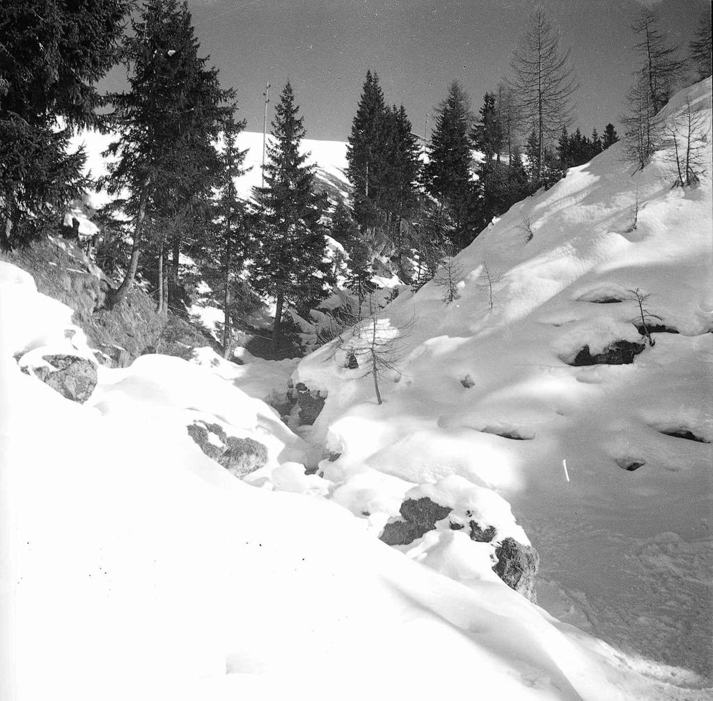 Paesaggio  Innevato · Historify