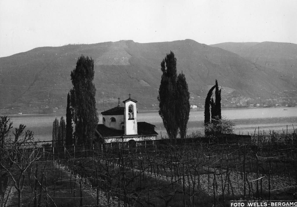 Chiesa E Vigneti · Historify