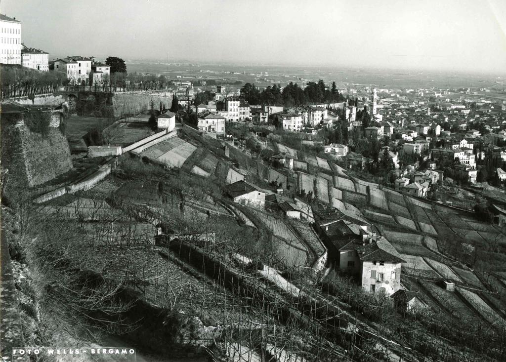Campi Coltivati Sotto Le Mura, Bergamo Alta · Historify