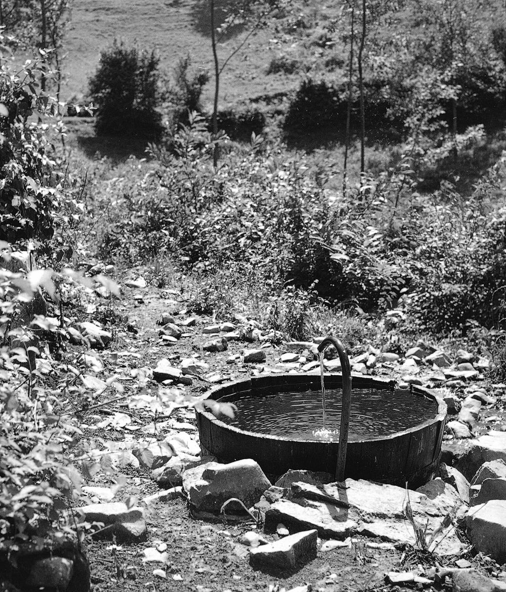 Fontana Di Montagna · Historify