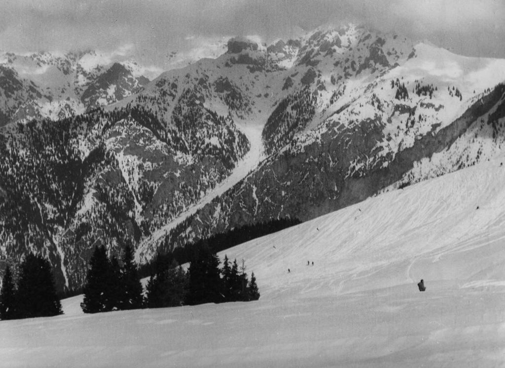 Paesaggio Innevato · Historify