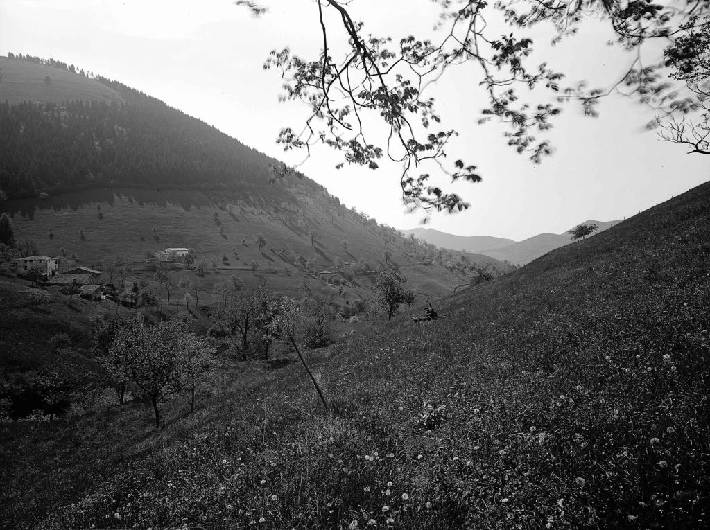Vigolo Panorama E Dintorni · Historify