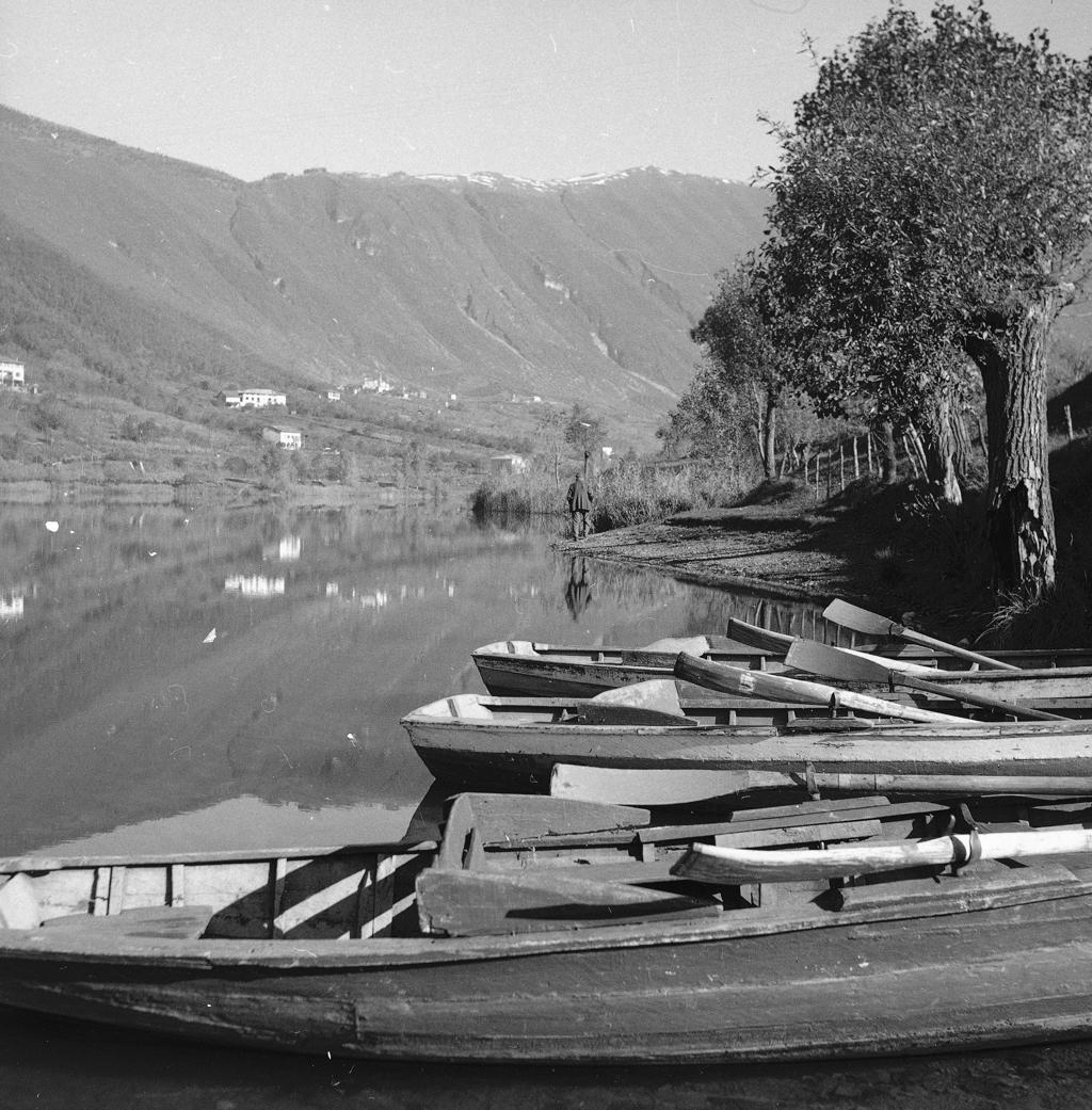 Sponda Del Fiume Con Barche · Historify