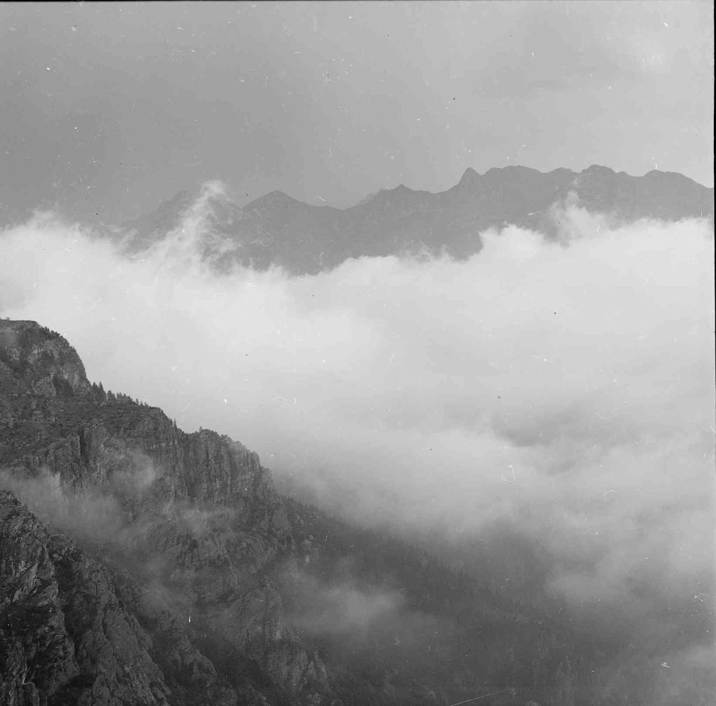 Cime · Historify