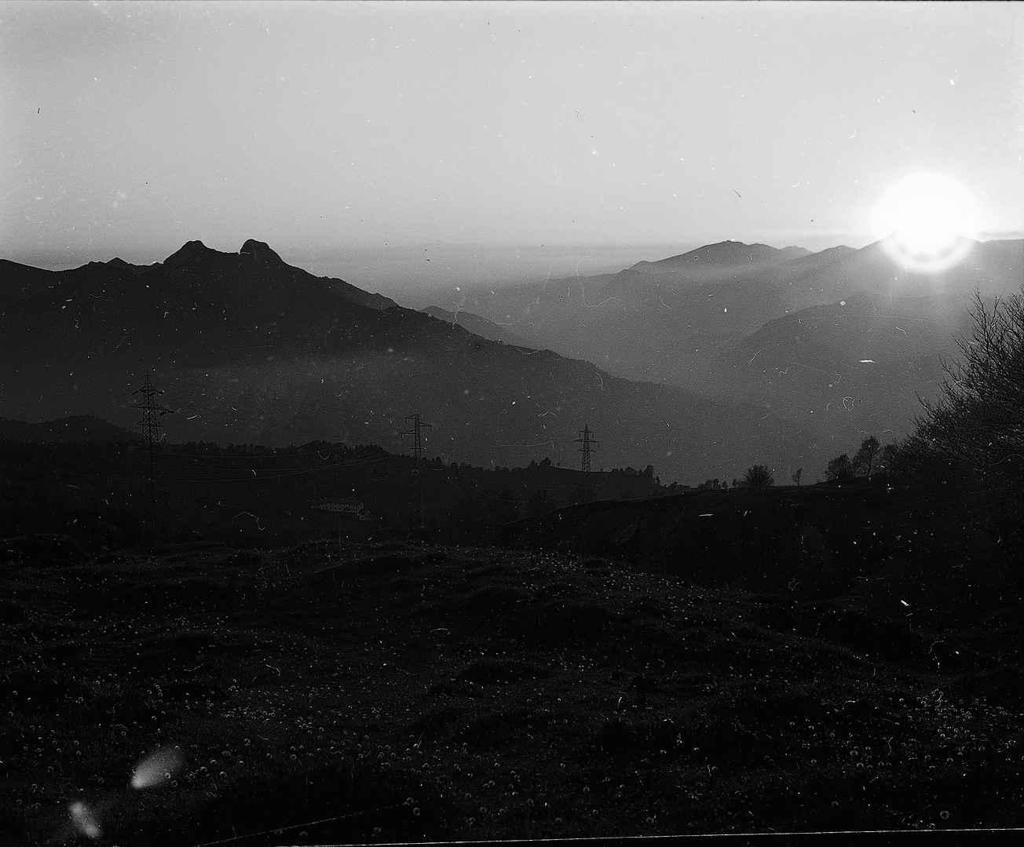Paesaggio · Historify