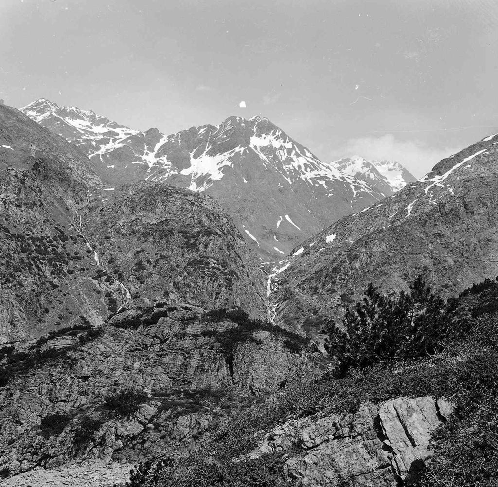 Cima innevata · Historify