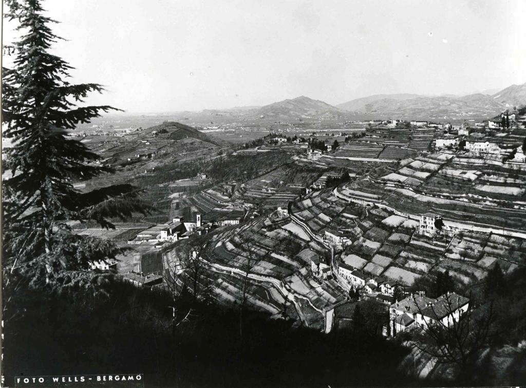 Campi Di Astino · Historify
