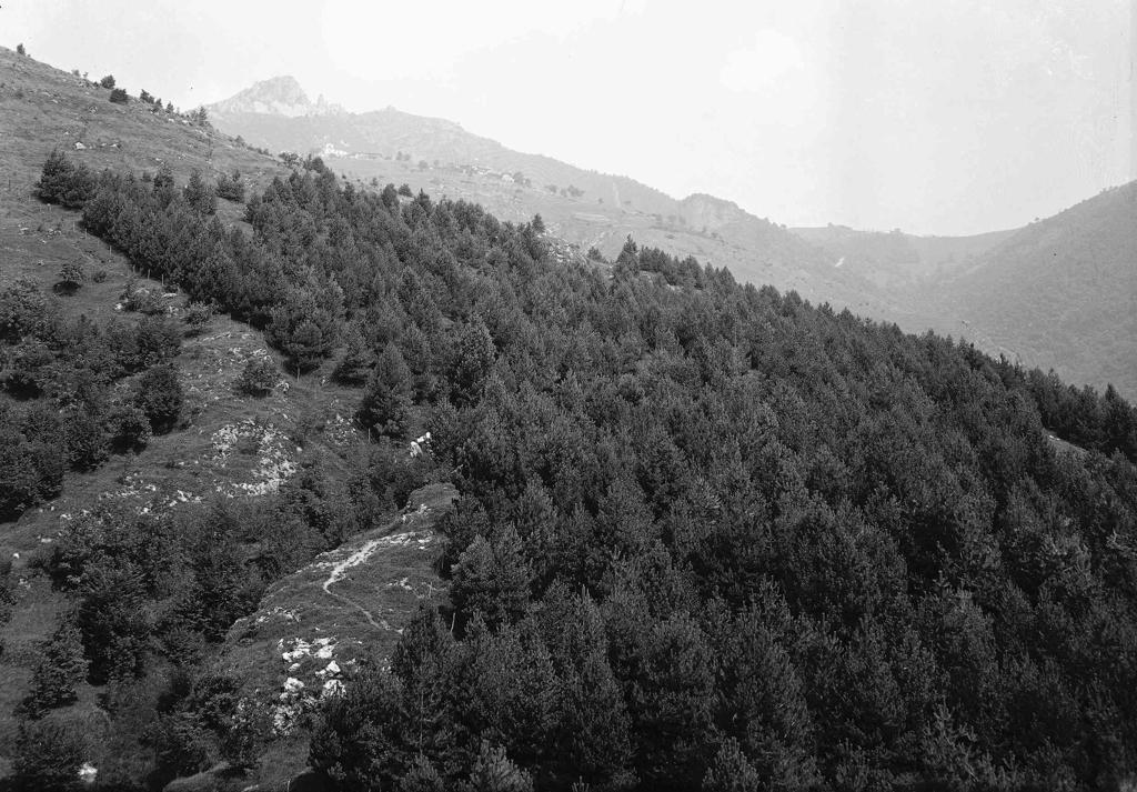 Montagne · Historify