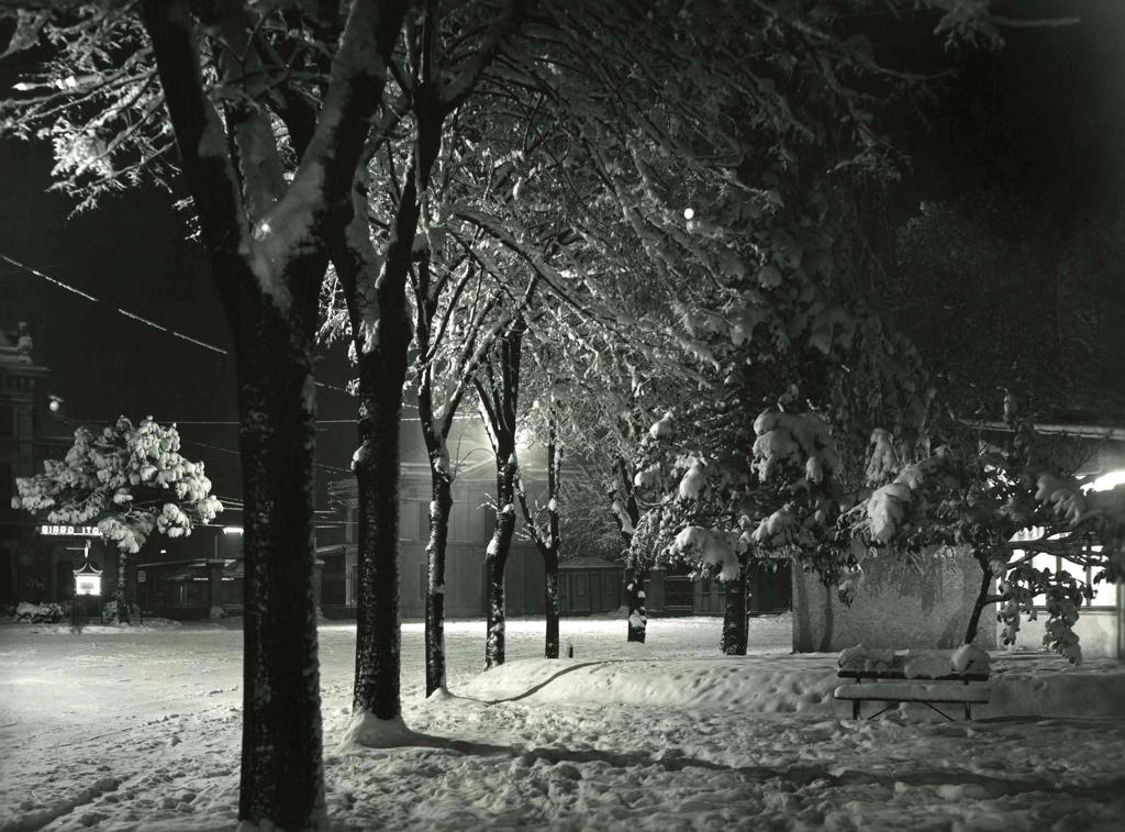 Viale Alberato Innevato, Bergamo · Historify