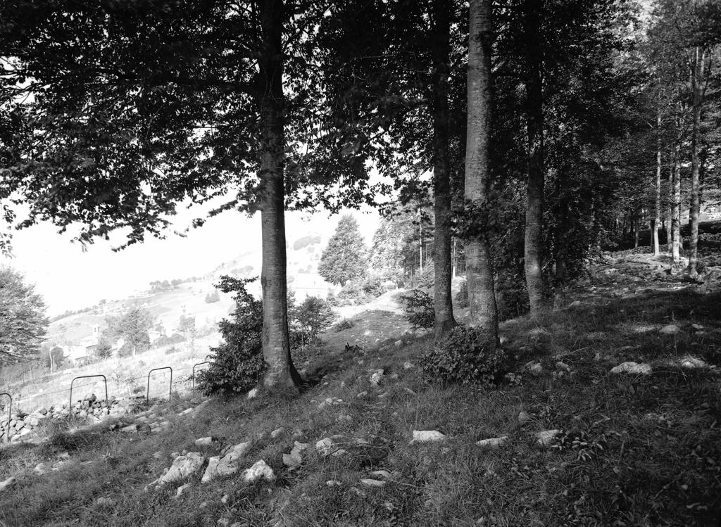 Paesaggio Montano · Historify
