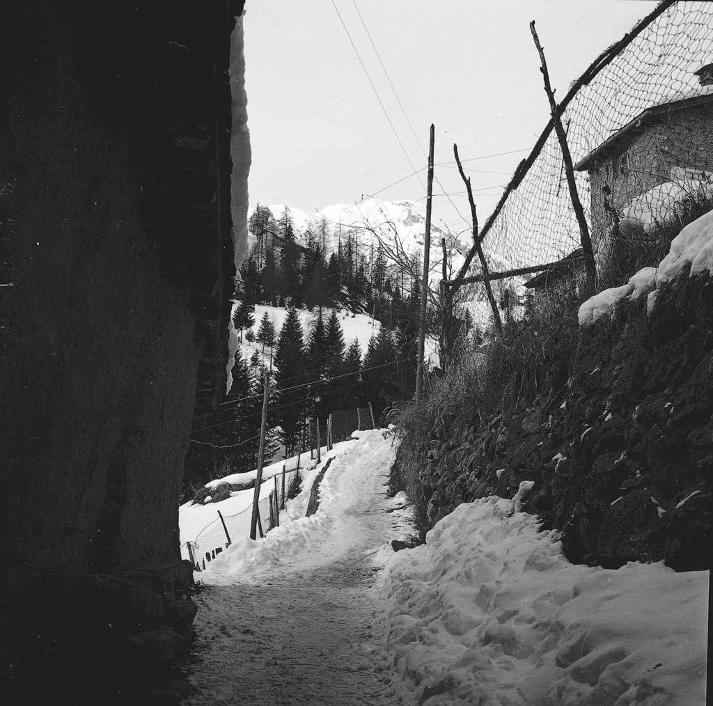 Stradina Innevata · Historify