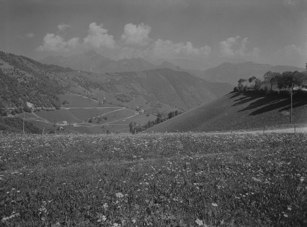 Paesaggio  Montano · Historify
