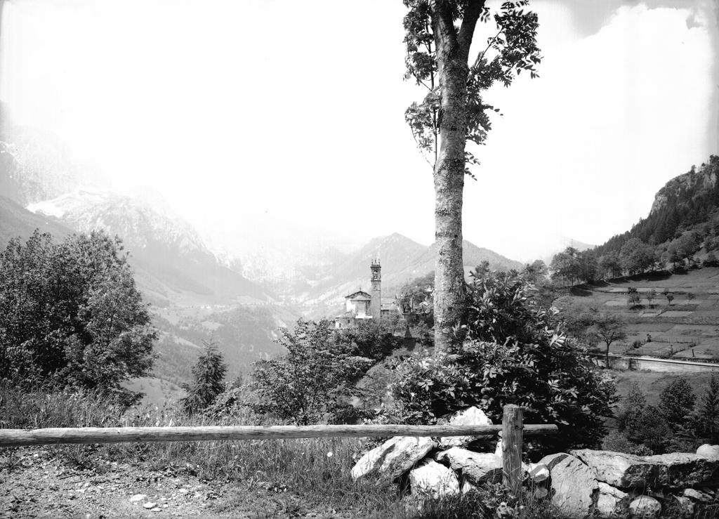 La vista oltre la staccionata · Historify