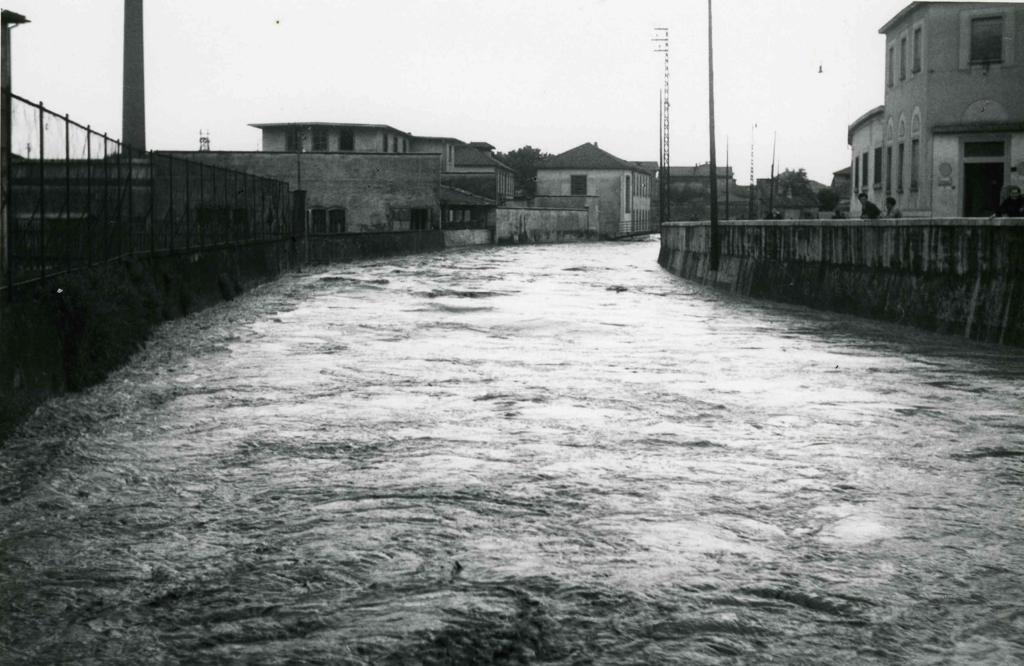 Torrente Morla · Historify