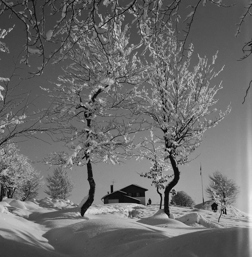 Rifugio Monte Poieto Alto · Historify