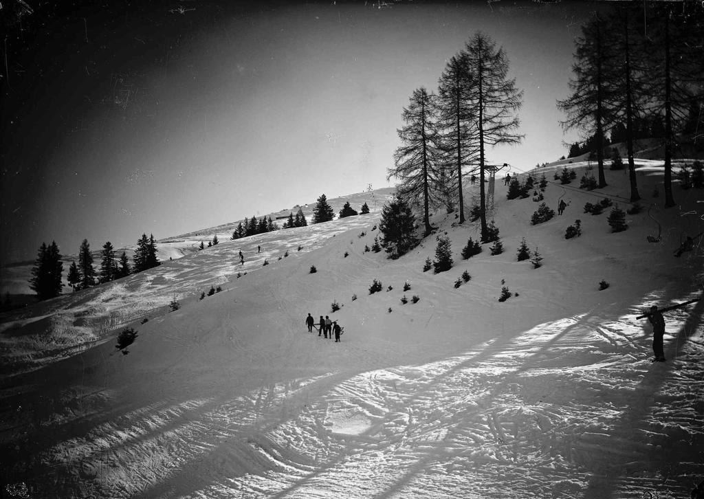 Camminata In Montagna · Historify