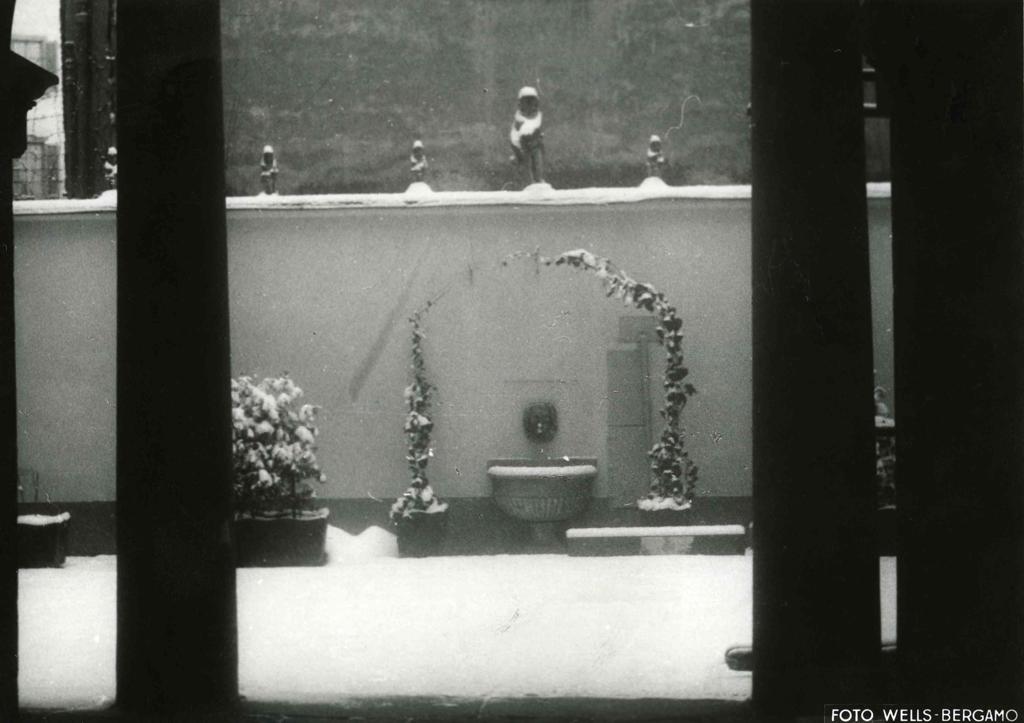 Giardino Con Neve · Historify