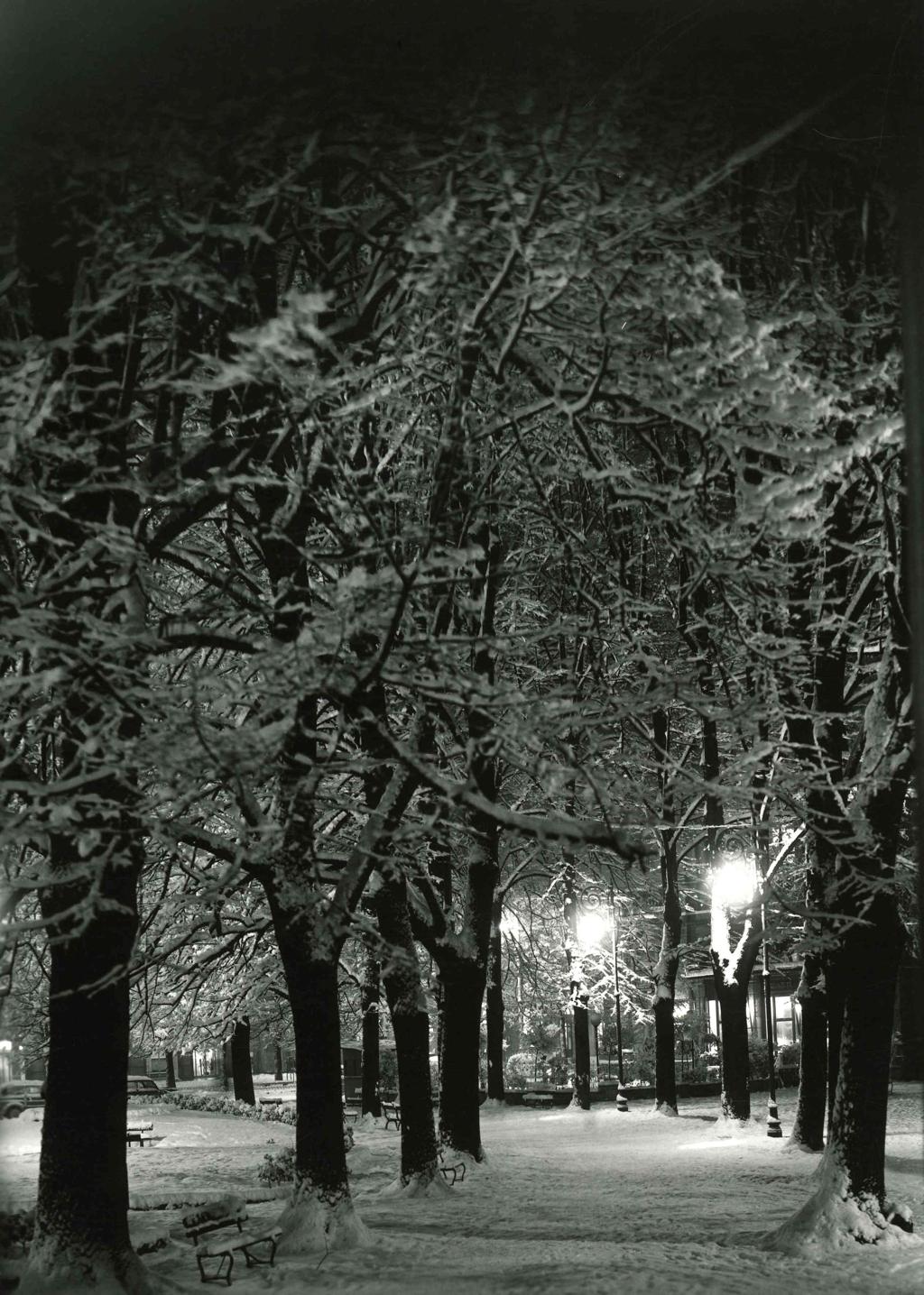 Viale Alberato Sotto La Neve, Bergamo · Historify