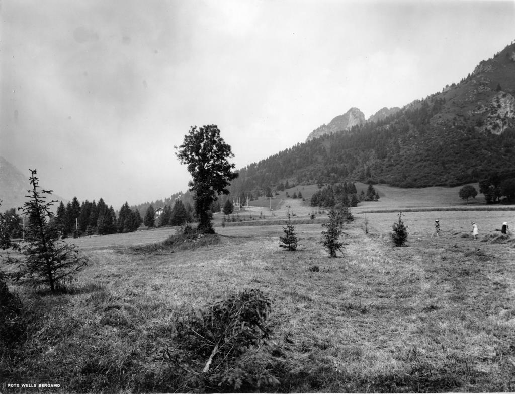 Prati A Castione Della Presolana · Historify