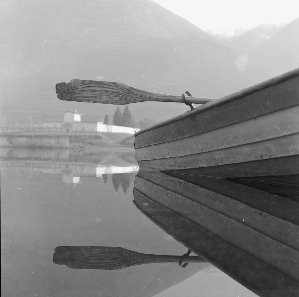 Remo riflesso nel lago · Historify