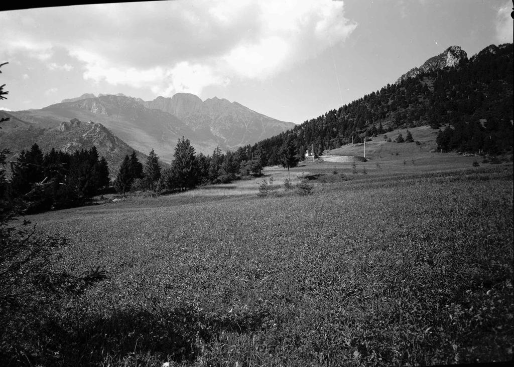 Panorama E Dintorni · Historify
