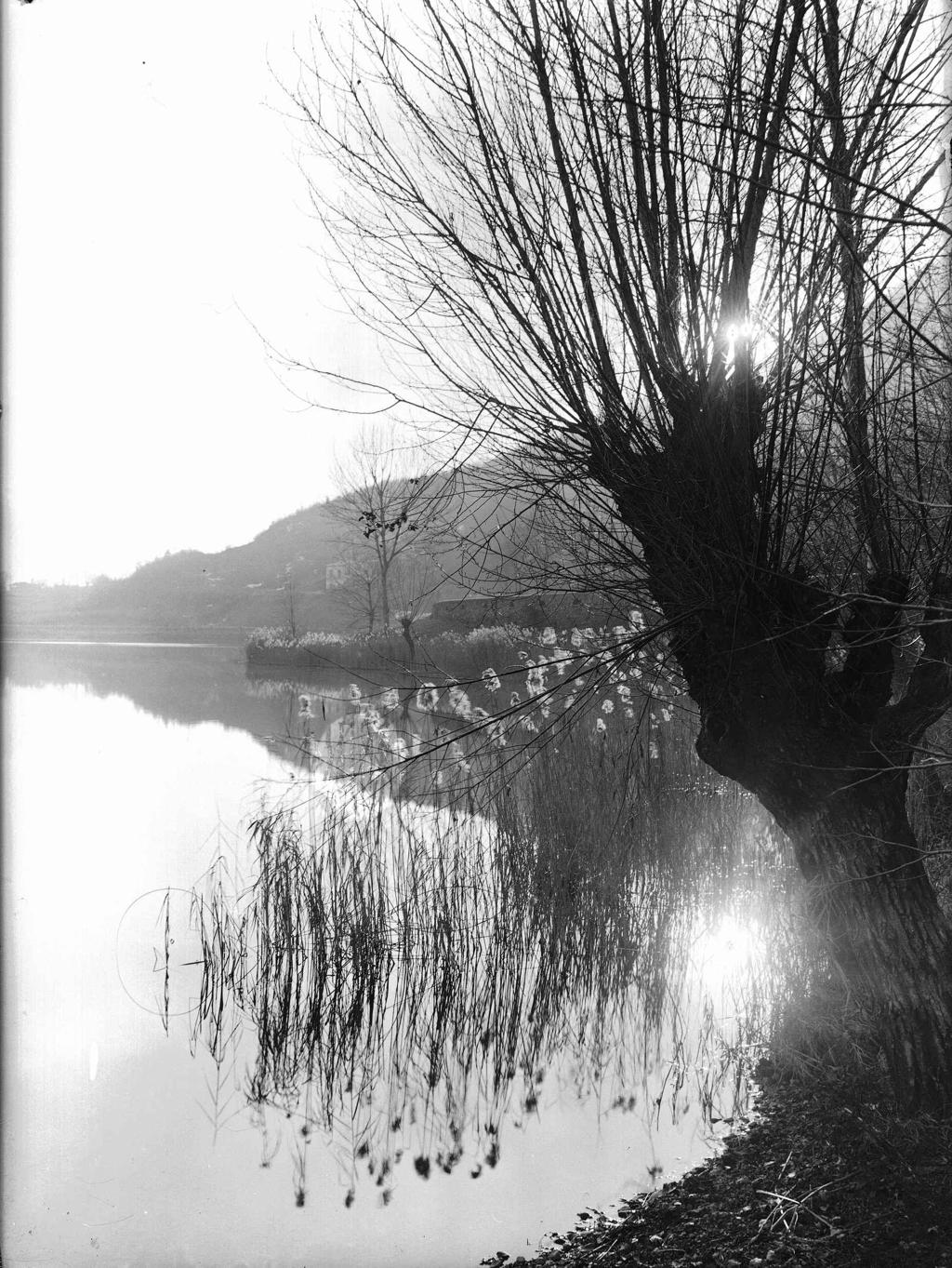 Riflessi nel lago · Historify