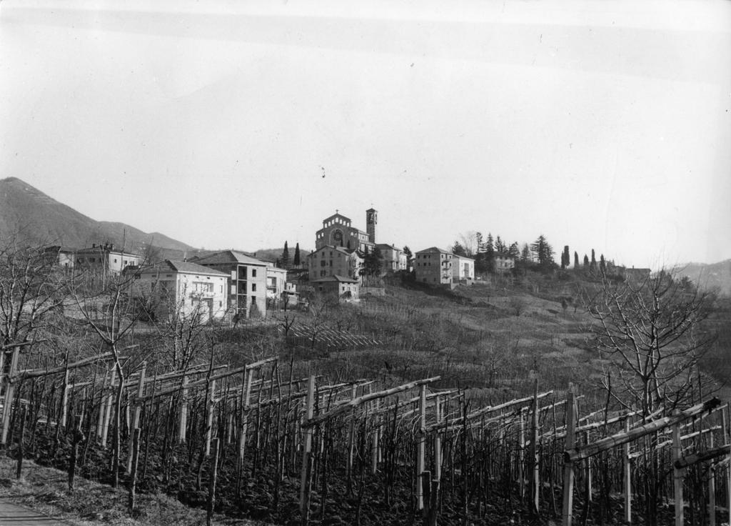 Vigneti Scanzorosciate · Historify